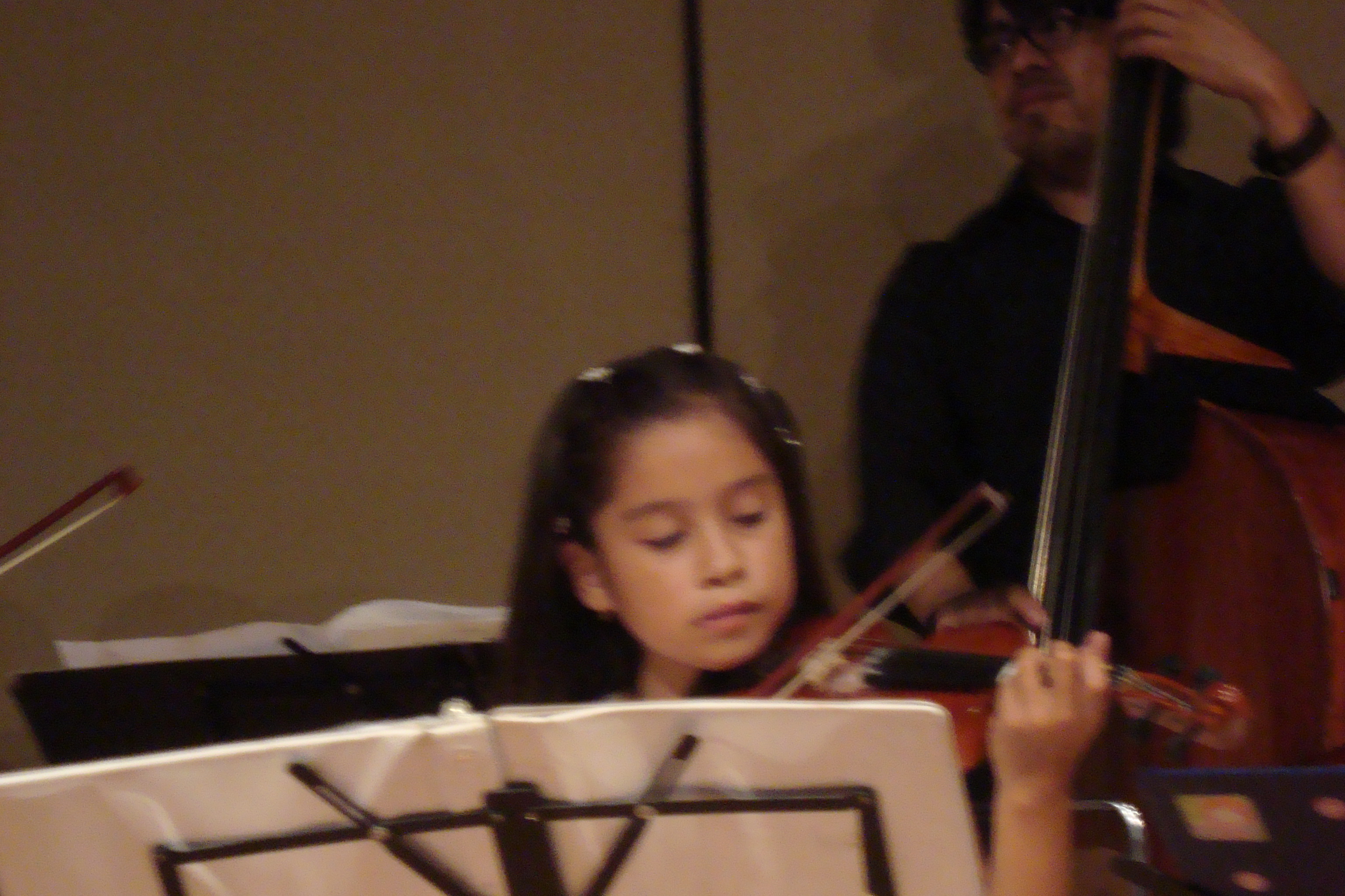 Violin